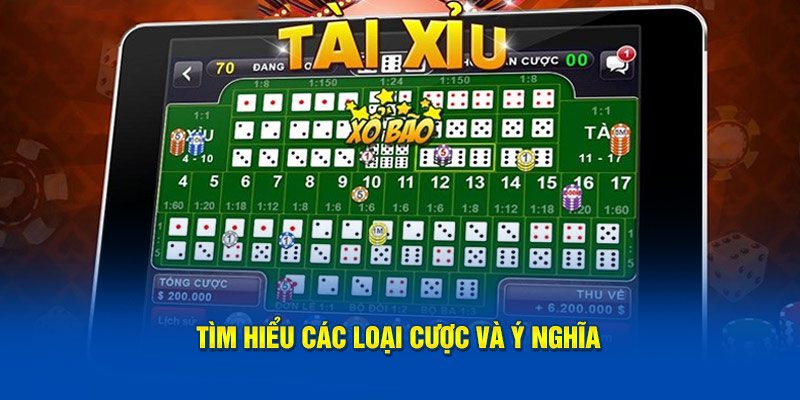 Tìm hiểu các loại cược và ý nghĩa